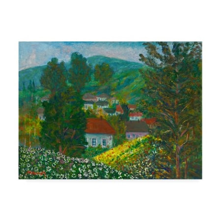Trademark Fine Art Manor Shadian 'Flowers in the Vale' Canvas Art, 18x24 MA01073-C1824GG